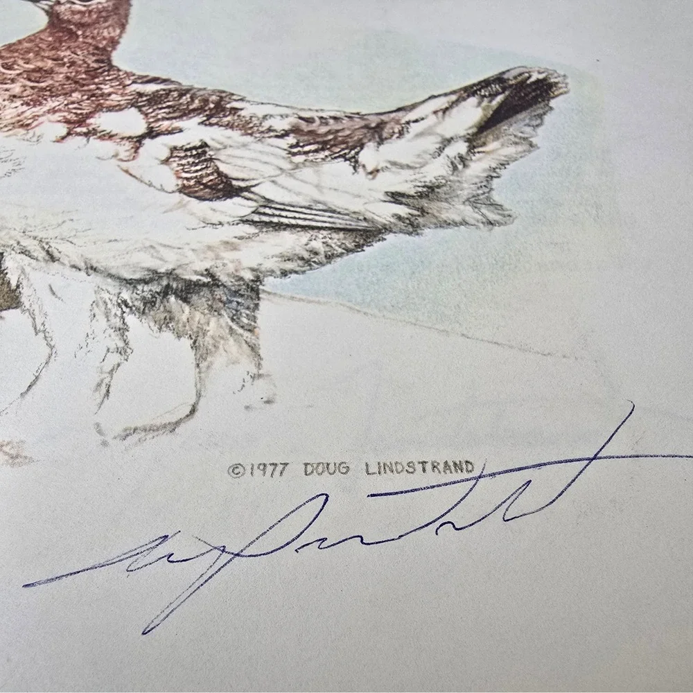 Signed Doug Lindstrands Alaskan Sketchbook 6th Ed 1983 Wildlife Art Photo Guide